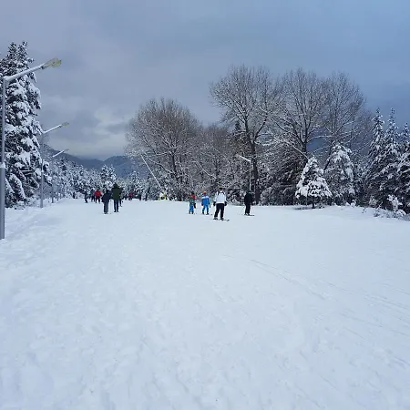 Mountain View - B45 아파트